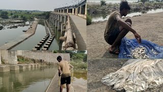 రామన్ పాడు డ్యామ్ దగ్గర చాపల వేట // Raman paదగ్గర dam in cast net fishing // hunting all Telugu