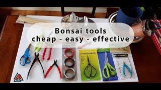 Bonsai Tools!  (cheap, easy, and effective)