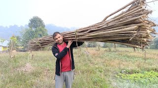 Palman Dai Vai Aaj Pani Ketbariko kam Ma Byasta | Nepali Village Life Style.