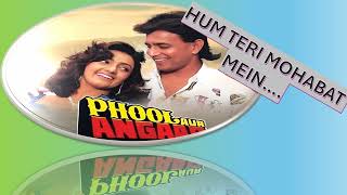 Hum teri mohabat#Phool aur Angaar#KumarSanu#SadhanaSargam#Romantic#mithunchakraborty#AnuMalik#hindi