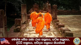 අවිද්‍යා අනුසය දුරුකරන මධ්‍යම ප්‍රතිපදාව    - AA0106