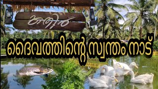 Kathir Farm | Pookkottumpadam Tourism | Malappuram | God's Own Country Kerala | India |