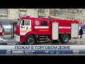 Скотокрады пытались спрятать корову в багажнике легкового авто