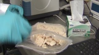 Feds bust massive synthetic drug ring