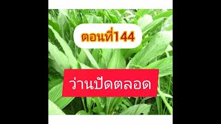 ตอนที่144 ว่านปัดตลอด เล่นว่านอ่านตำรา ตำราว่านวิเศษอันศักดิ์สิทธิ์ อ.ชั้น หาวิธี พ.ศ.๒๕๐๖