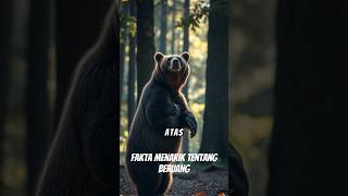 Fun Fact Bear - Fakta Menarik Tentang Beruang | amazing animal - hewan mengagumkan #facts #beruang