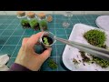 미니테라리움 이끼 테라리움만들기 코르크병 create a mini terrarium moss terrarium cork disease