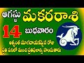 Makara Rasi phalal 14th August 2024| today Capricorn Horoscope telugu |మకరరాశి వారికి జరగబోయేది ఇదే