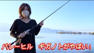 (琵琶湖バス釣り)釣れないガールのバレーヒルギガノトがやばいらしい