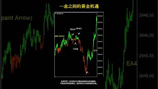 一念之间的黄金机遇 #trading #投資 #xauusdgold