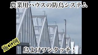 ＃５　農業用ハウスの防鳥対策はこれで決まり！鳥よけワンタッチ！　農業用ハウスの防鳥システム