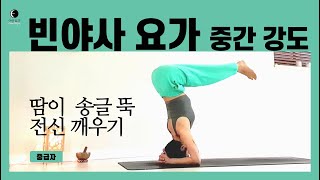 요가마님 [빈야사 요가] [중급 요가] 근력 강화ㅣ칼로리 소모ㅣ체력 증진