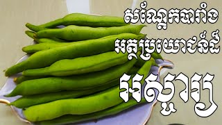 សណ្តែកបារាំងផ្តល់អត្ថប្រយោជន៍ដ៏អស្ចារ្យចំពេាះសុខភាព - Health Inform