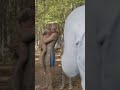 Diary of a Wimpy Kid: The Long Haul (2017) behind the scenes