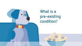 What is a pre-existing condition? | Bow Wow Meow Pet Insurance