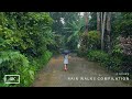 4 Hours of Our Rain Walks Compilation | Relaxing ASMR sounds of rain on umbrella for sleep and study