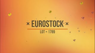 Euro STOCK × LOT #1789