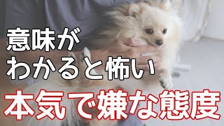 【犬　態度】見逃すと信頼を失う、犬が本気で嫌がっている時に見せる態度【犬の仕草】