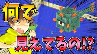 【ぽこくら#185】透明化のポーションの検証！【マインクラフト】ゆっくり実況プレイ