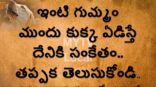 ఇంటి గుమ్మం ముందు కుక్క ఏడిస్తే దేనికి సంకేతం   తప్పక తెలుసుకోండి/mytvlocal#shortvideo #new #viral