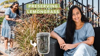 Lemongrass: Harvesting, Pruning, and Preserving For All Year Use | Tips and Techniques