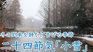 二十四節気「小雪」/冬の到来を静かに告げる季節