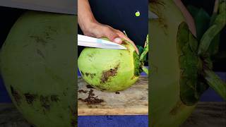 Beautiful green color coconut SAMR slicing for $20 dollars #cuttingskills #satisfying