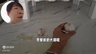 买大蒜时，是买白皮大蒜还是紫皮大蒜呢？多谢种蒜大叔讲解与告知