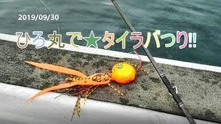 【釣具のイヴ】★ひろ丸でタイラバ釣り★