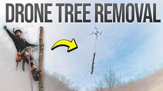 Drone Tree Removal Service