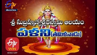 Sri Subramanyeswara Swamy Temple | Palani | Tamil Nadu | Teerthayatra | 19th December 2020 | ETV TS