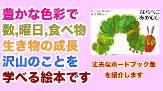 はらぺこあおむし🐛絵本紹介第199回