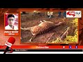 जाळे लावून हरणाची शिकार deer hunters caught by forest department bhandara