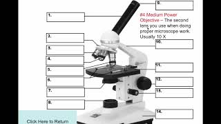 1 Microscope parts & functions of video