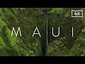 Beautiful Island Maui Hawaii Aerials 4K | Blue Moon Universe |