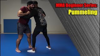 MMA Beginner Series: Pummeling