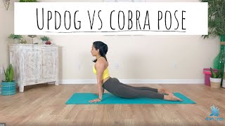 Updog Vs Cobra pose - What's the difference? Which is better? Aham Yoga | Yoga with Aru