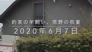 「約束の羊飼い、荒野の祝宴」2020年6月7日礼拝聖書メッセージ　マルコの福音書6章30−44節より