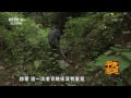 探秘新发现 02 追寻奇异石球 【走遍中国20150704】 720p