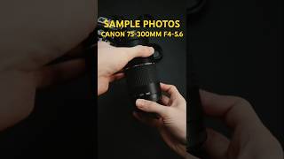 Canon R10 / Canon 75-300mm f4-5.6