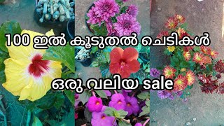 100 ഇൽ കൂടുതൽ ചെടികൾ... ഒരു വലിയ sale@ Village with family