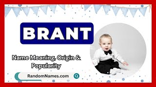 Brant - Baby Boy Name Meaning, Origin \u0026 Popularity - RandomNames.com