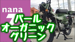 CT125ハンターカブ新色！パールオーガニックグリーン！小さな変更点