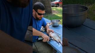 How to Clean \u0026 Cook a Buffalo Fish