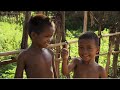 breaking the poverty cycle one cow at a time in cambodia landline abc news