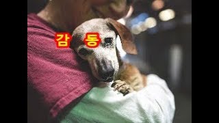 (감동) 사는 집도 주인도 시력도 잃어버린 닷쿠스훈도　가 보호되어서 안도의 눈물…