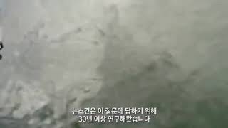 1분에 1개씩 팔려나가는 유스스펜 개발 스토리