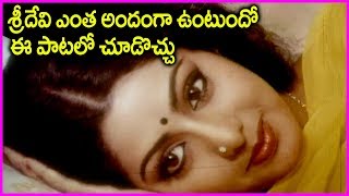 Actress Sridevi And Krishnam Raju Lovely Video Song In Telugu | Rose Telugu Movies