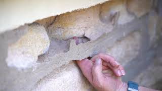 Tech Dry SA - specialists in Salt Damp Treatment and Repair