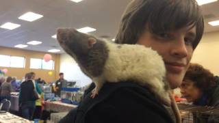 A boy and his rat: Why rats actually make for cuddly pets